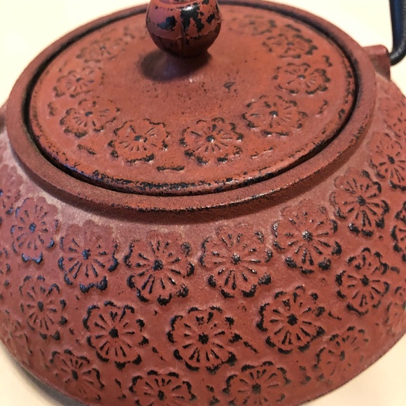 Cast Iron Tea Kettle w/Lid, Burnt Red - Picture 8 of 11